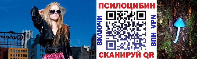 Галлюциногенные грибы Magic Shrooms  mega   Богданович  как найти закладки 